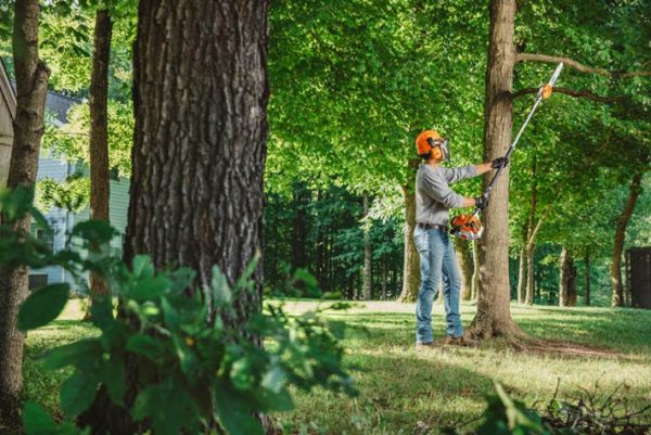 STIHL HT 250