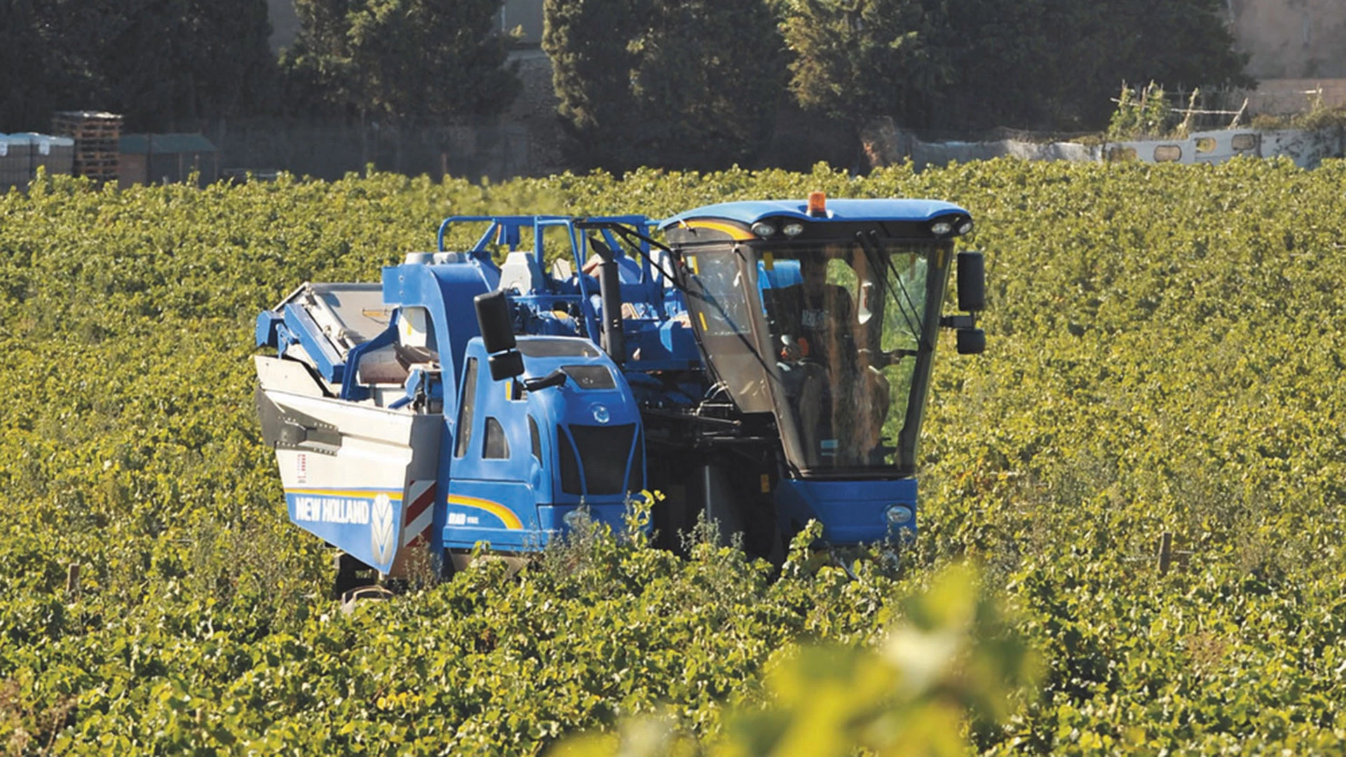 New Holland Braud Grape Harvester