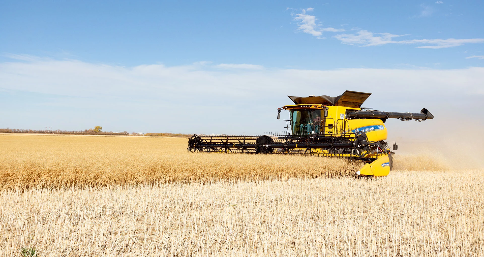 New Holland Direct Cut Auger Heads