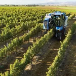 New Holland Braud High-Capacity Grape Harvesters