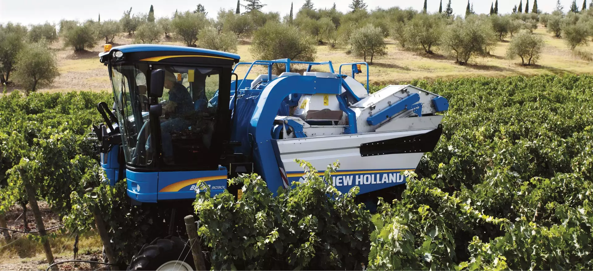 New Holland Braud Grape Harvester