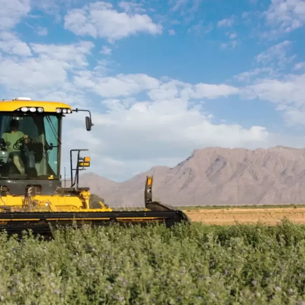 New Holland Speedrower® PLUS Self-Propelled Windrowers