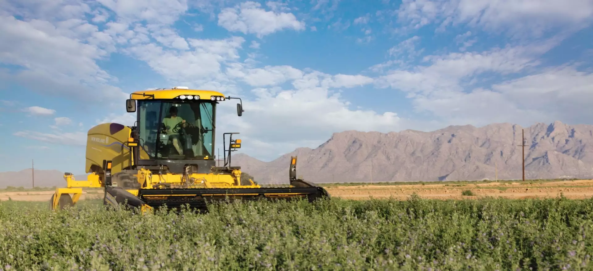 New Holland Speedrower® PLUS Self-Propelled Windrowers