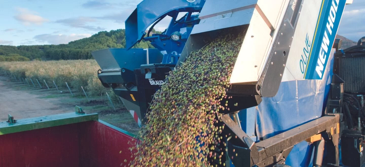 New Holland Braud 9090X Olive Harvester