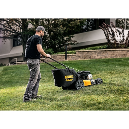 DEWALT 21 in. 163cc Self-Propelled RWD Lawn Mower