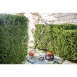 STIHL HL 94 K (145°)