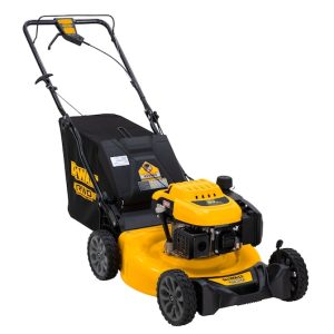 DEWALT 21 in. 163cc RWD Self-Propelled 2-in-1 Lawn Mower