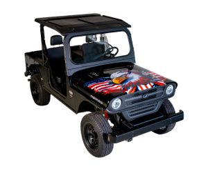 Mahindra ROXOR HD