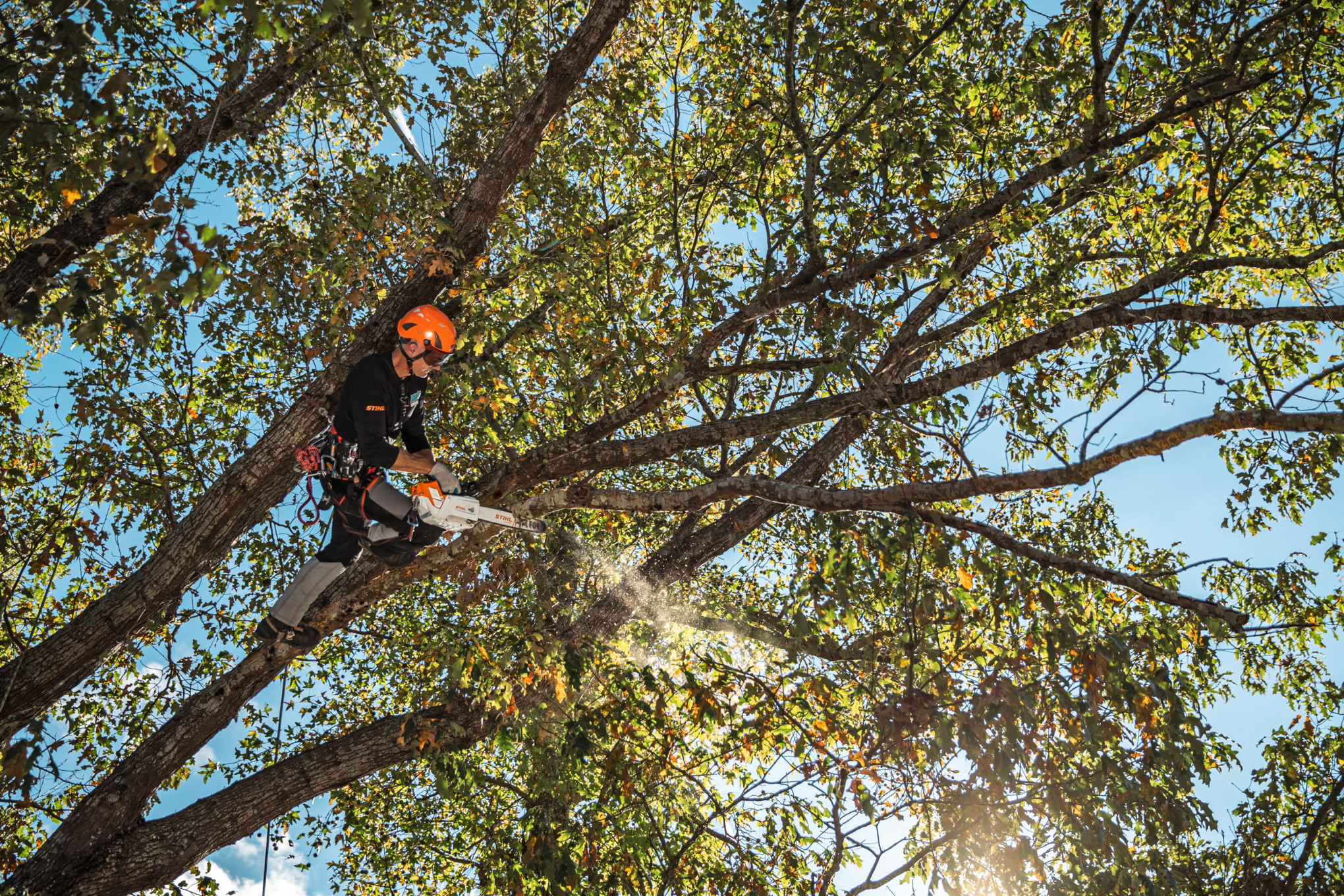 STIHL MSA 220 TC-O Battery Powered Chainsaw