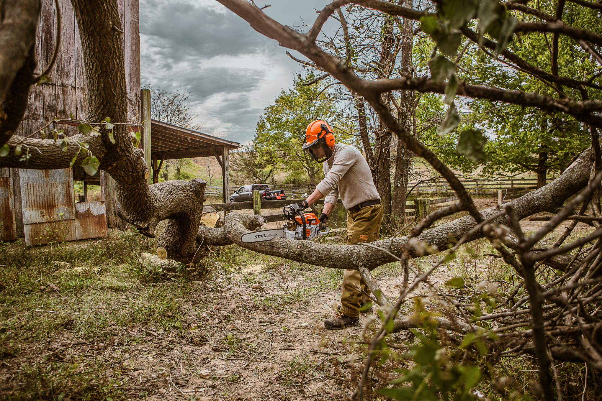 STIHL MS 261 Gasoline Chainsaw