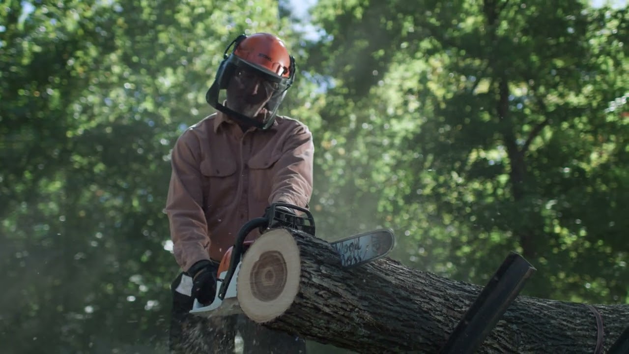 STIHL MS 251 WOOD BOSS®